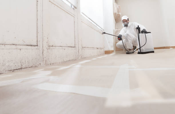 24/7 Emergency Mold Removal experts in McLean, TX