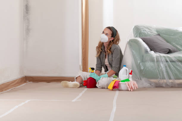 Reliable Mold Removal contractor in McLean, TX by Mold Remediation HQ